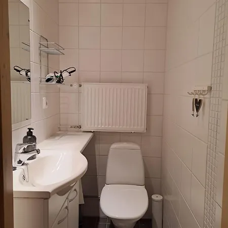 Rukan Taiga, 2 Rinnelippua *